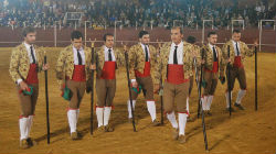 Forcados de Beja em concurso