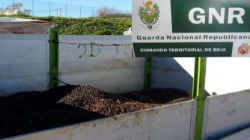 GNR detém ladrões de