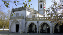 Museu Regional: PSD de Beja acusa