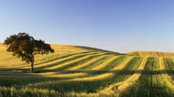 Alentejo promovido