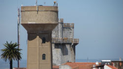 PSD de Beja apoia