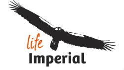 Projecto LIFE Imperial