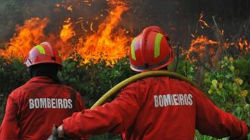 Menos área ardida