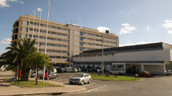 “Os Verdes” defende obras no hospital de Beja