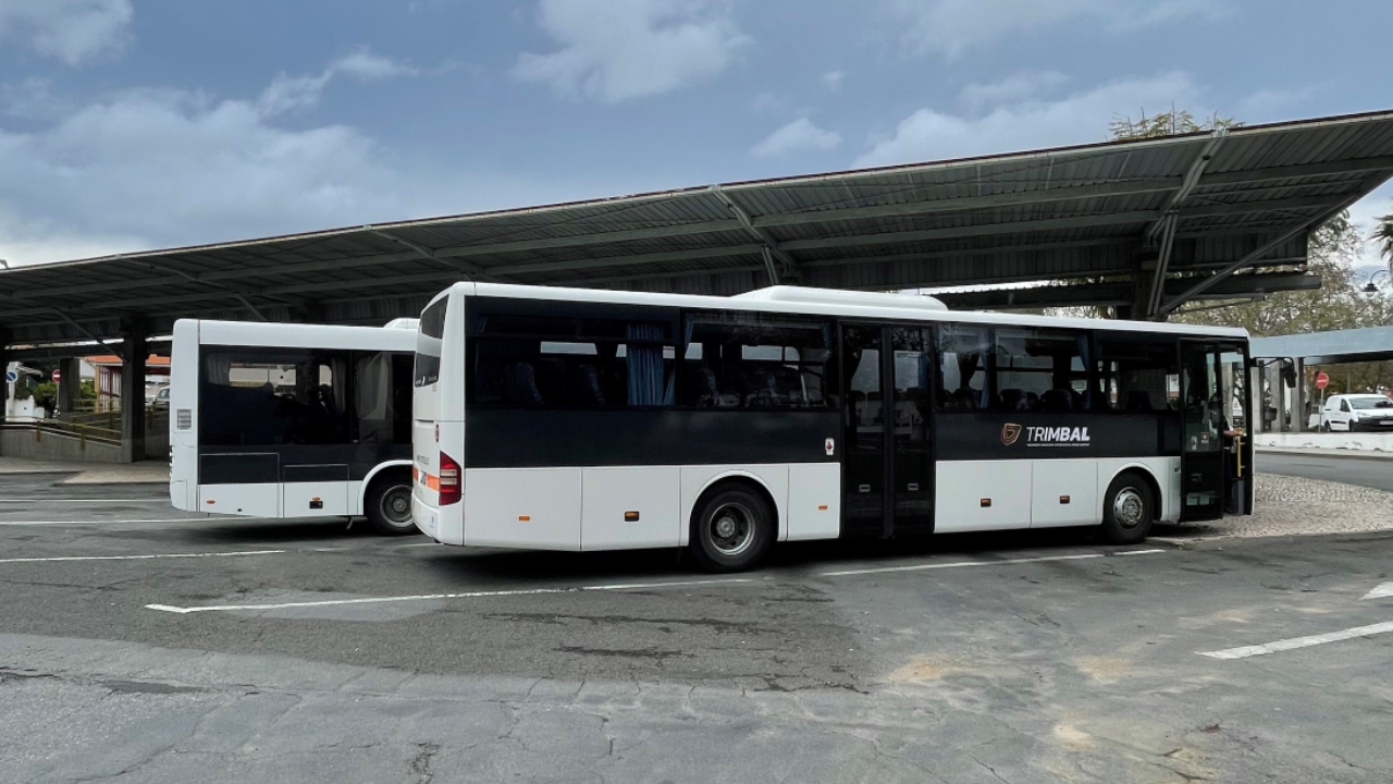 Municípios lançam concurso de 15ME para rede de transporte regular no Baixo Alentejo