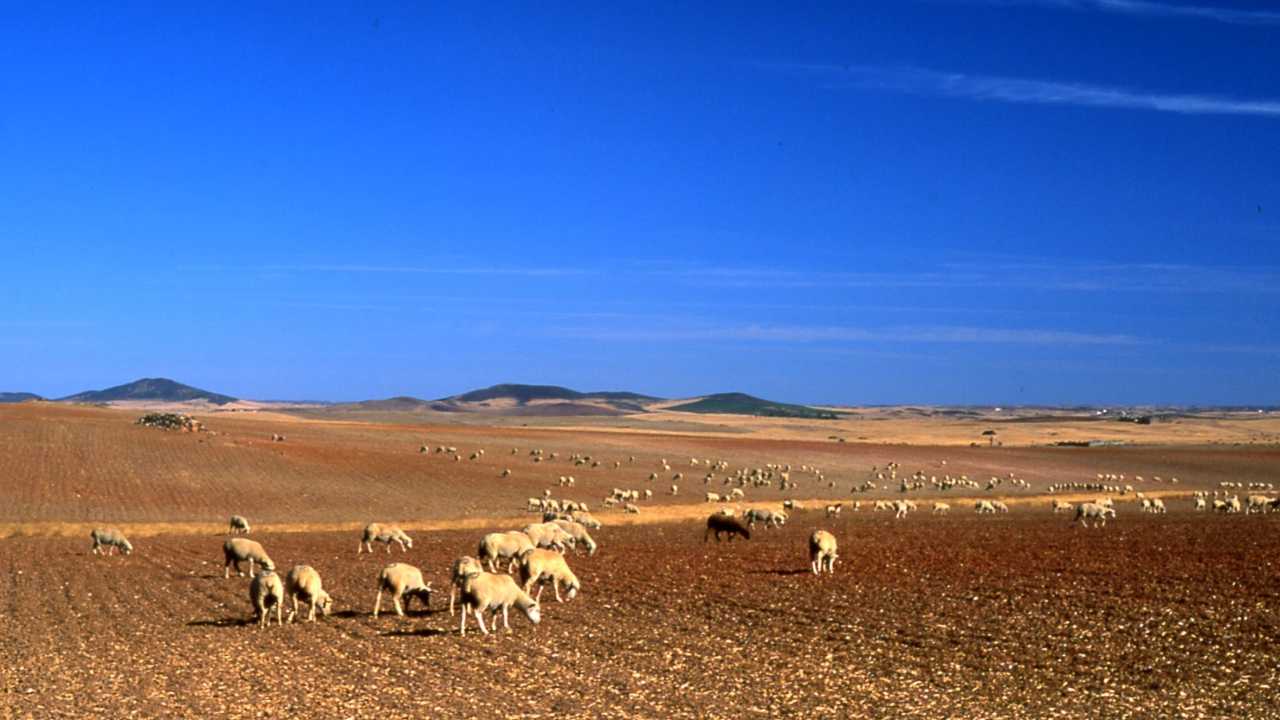 Baixo Alentejo com 94% do território “suscetível à desertificação”