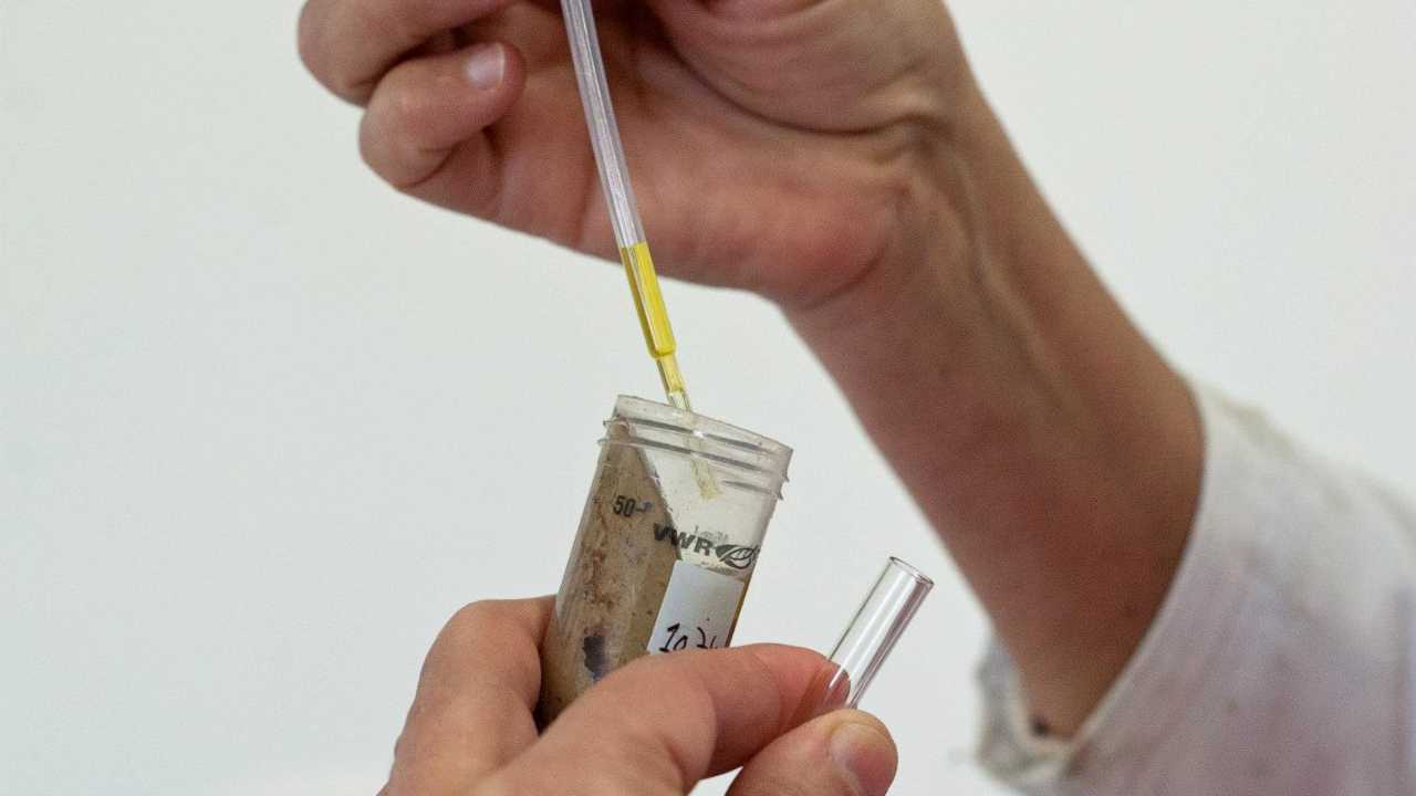 Laboratório da ACOS faz análise sensorial de azeite