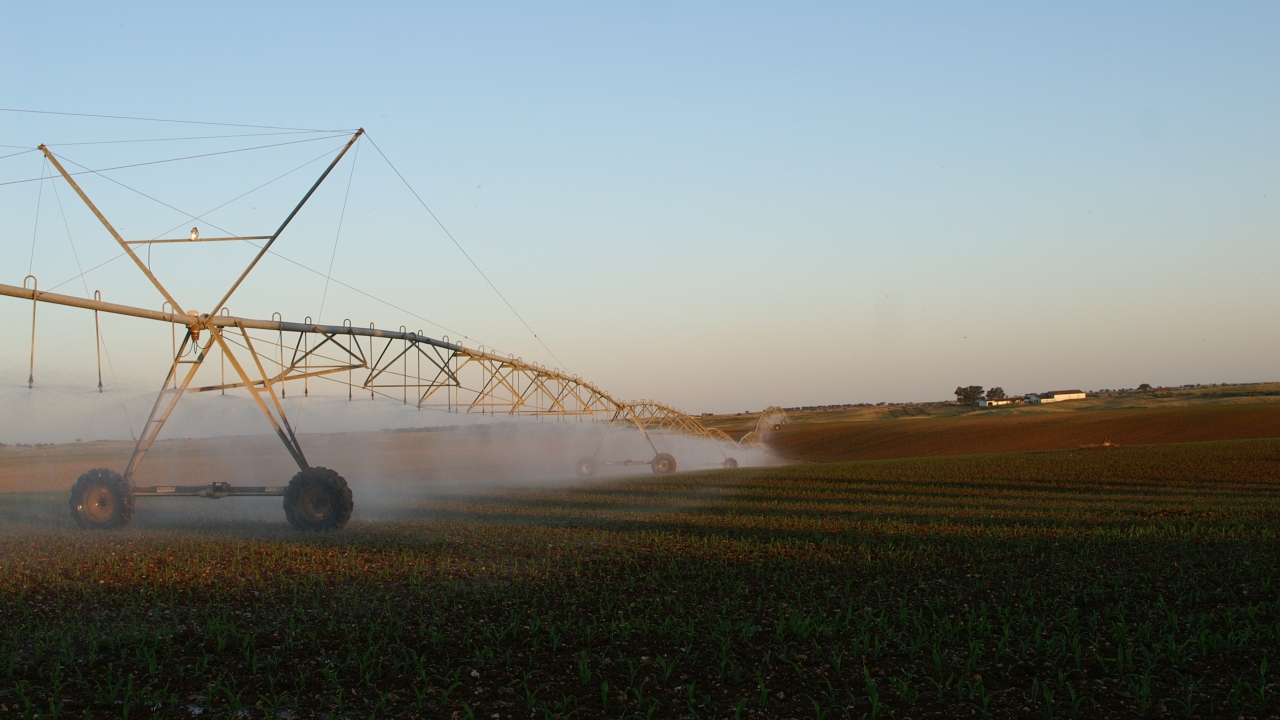CEBAL lança projeto de bioeconomia sustentável