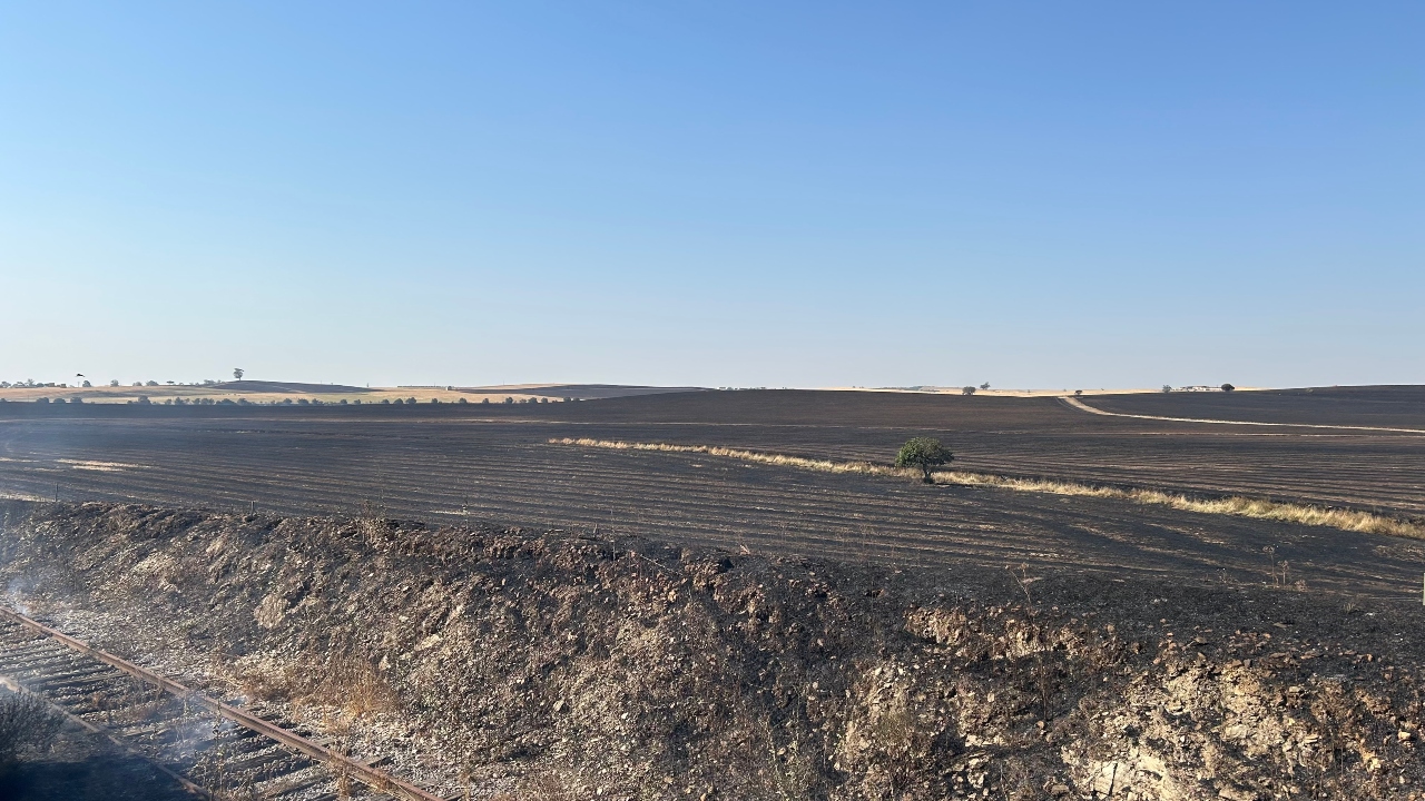 Agricultores afetados por incêndios em Aljustrel exigem apoio