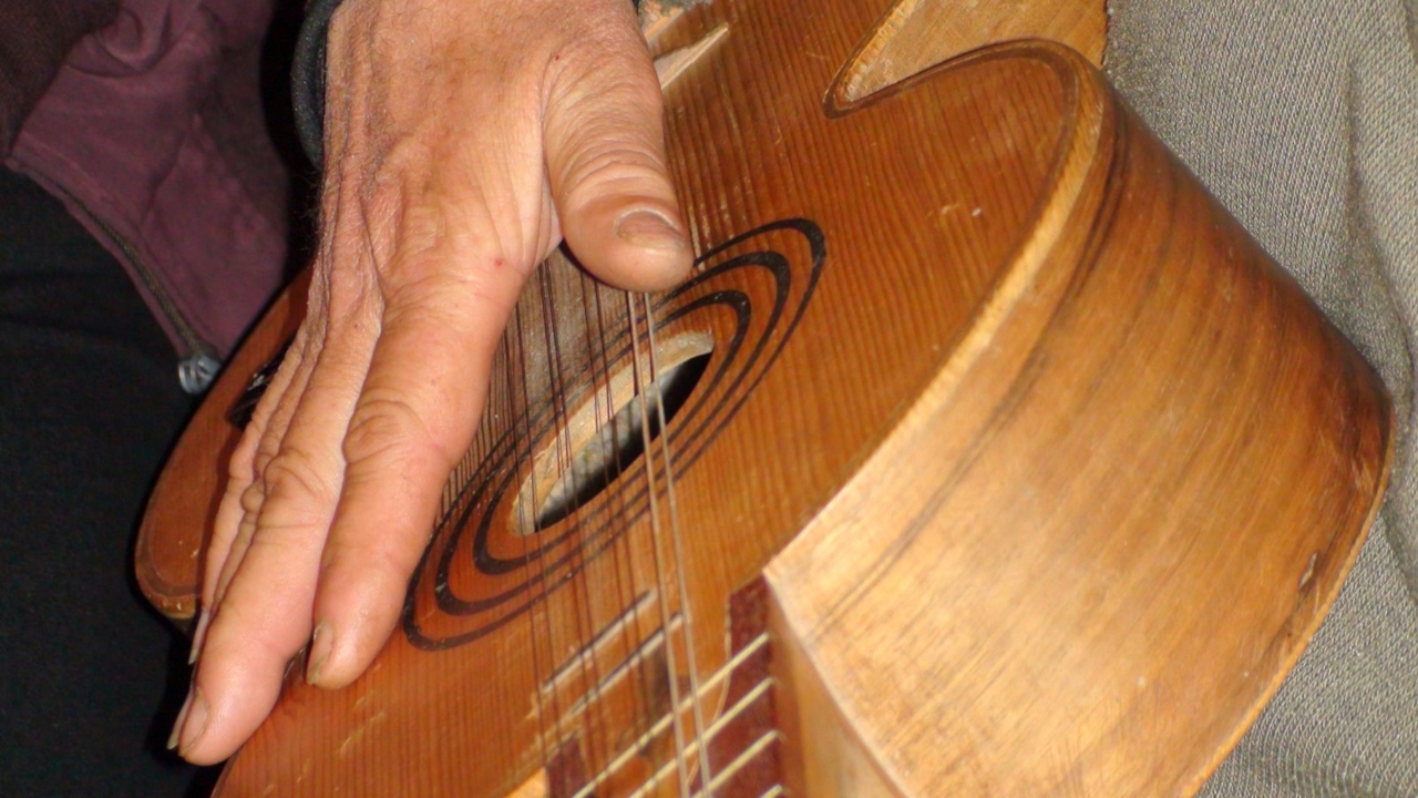 Violas de arame em Castro Verde e Odemira