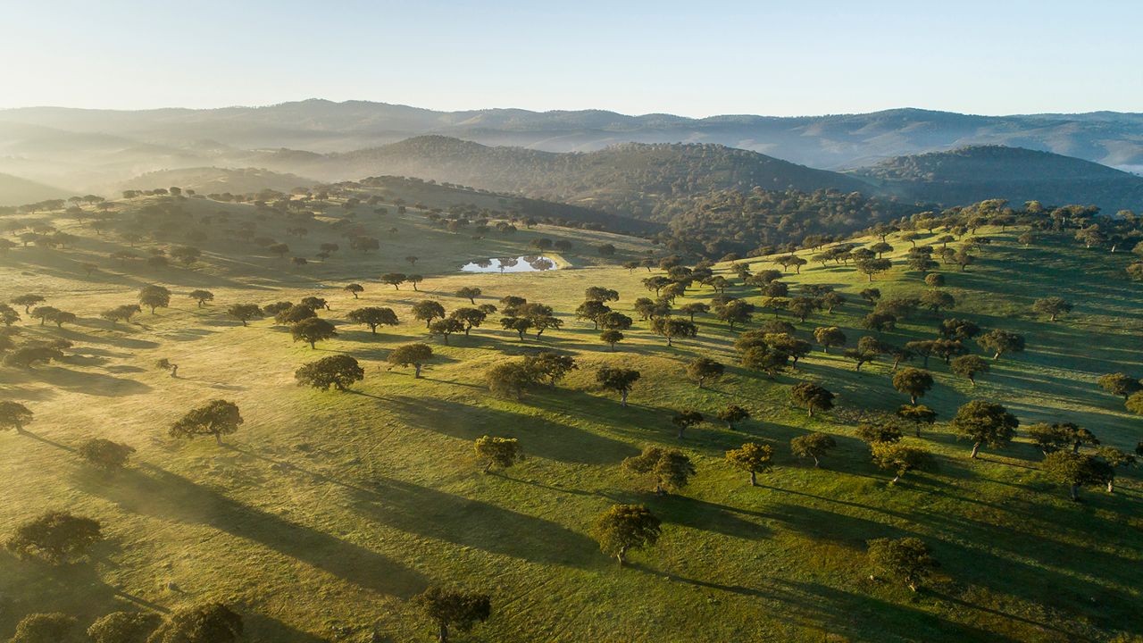 Governo conclui processo da Zona Especial de Conservação de Moura/Barrancos