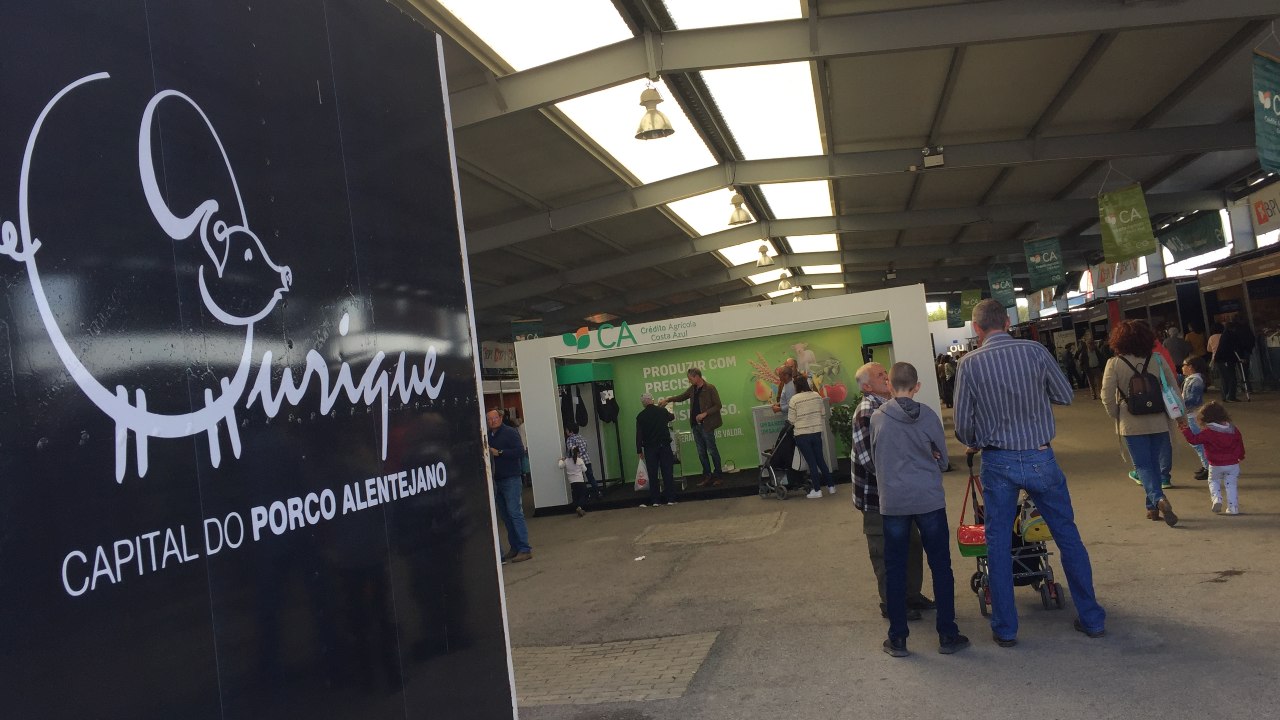 Três dias de feira em Ourique para valorizar fileira do porco alentejano