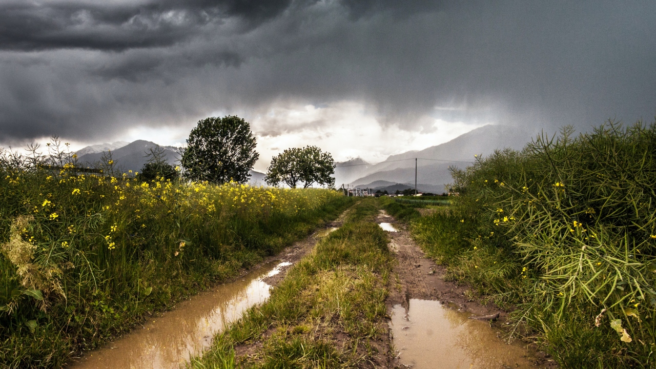 Agricultores do Baixo Alentejo apresentaram preocupações ao ministro