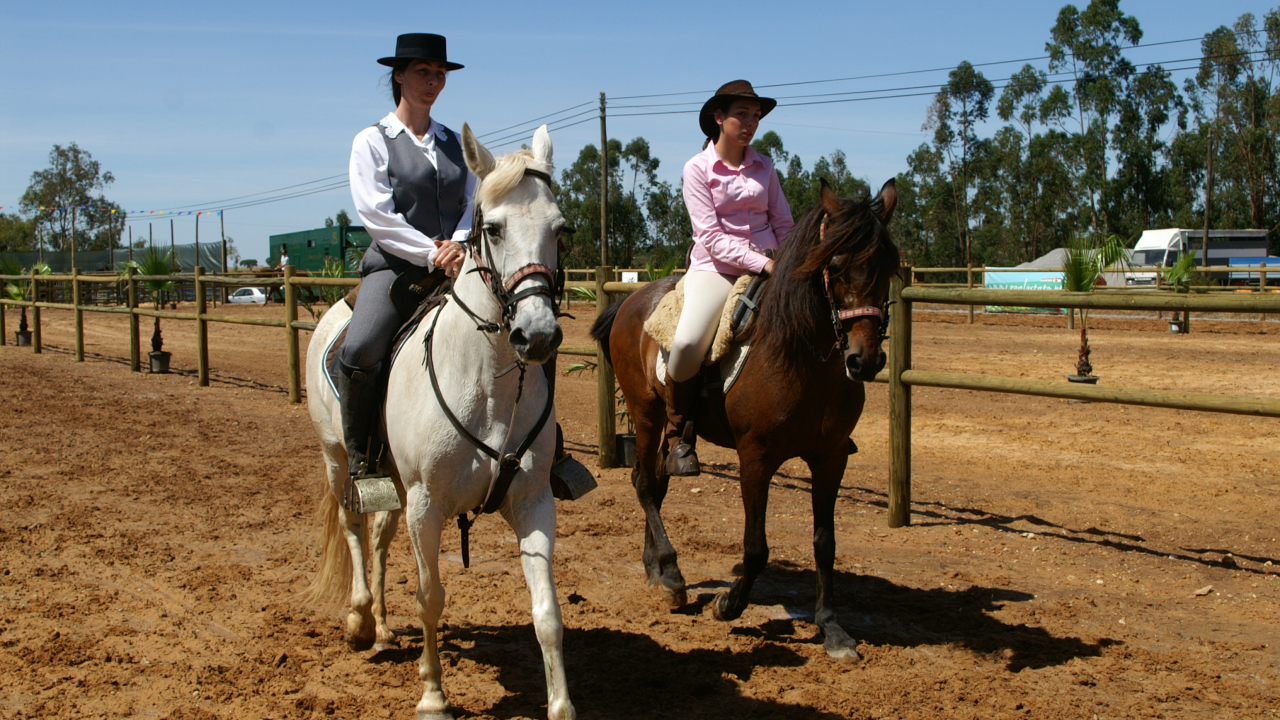Feira de Garvão celebra tradições do mundo rural