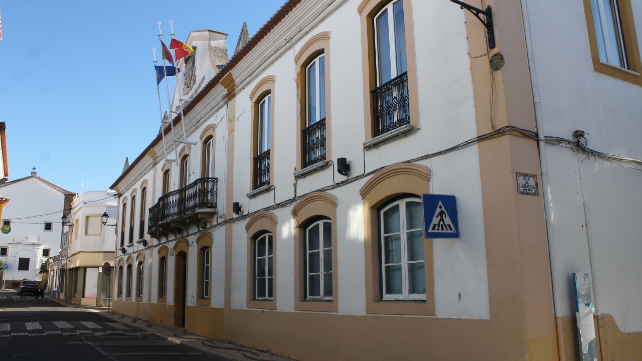 Campanha de esterilização de cães e gatos em Almodôvar