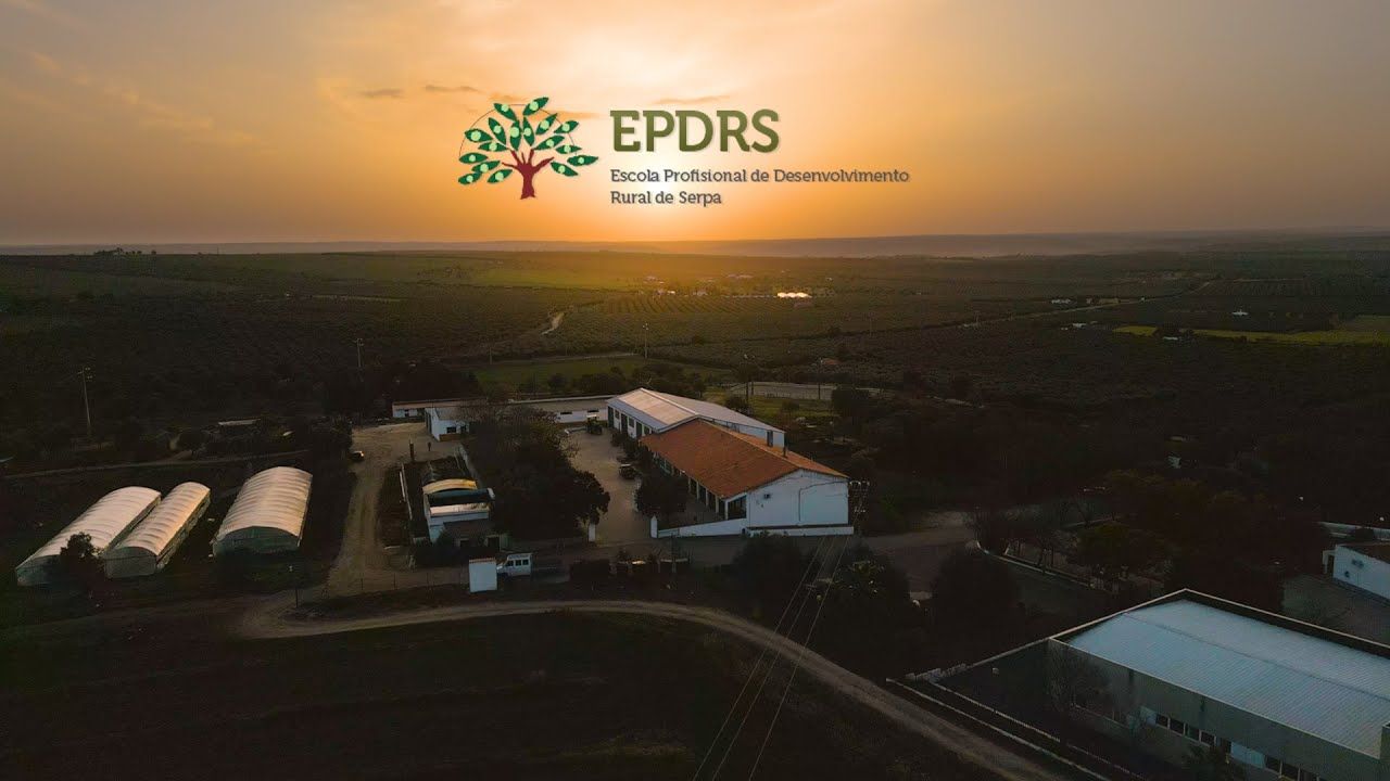 Escola Profissional de Serpa promove evento para “despertar consciências”