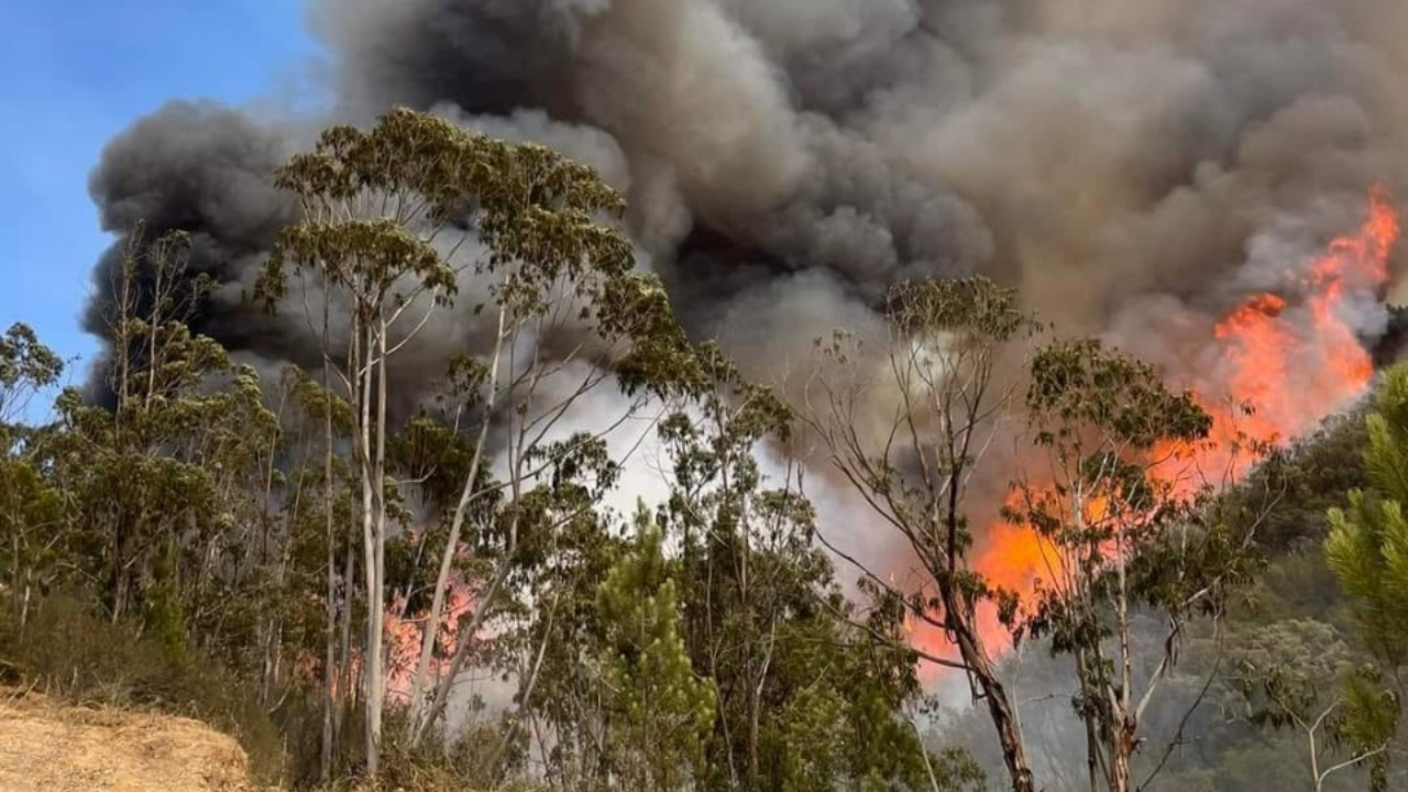 Confiança no arranque da fase Delta de combate a incêndios