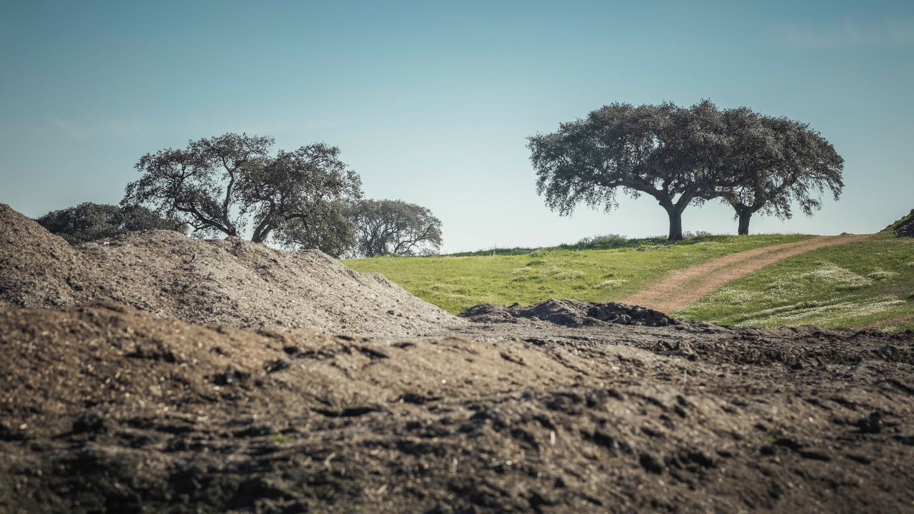 Resialentejo promove novo fertilizante orgânico no mercado