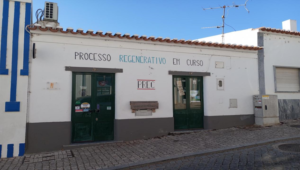 Onde o futuro começa a ser plantado