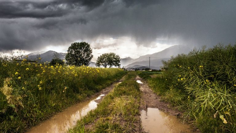 Agricultura - chuva
