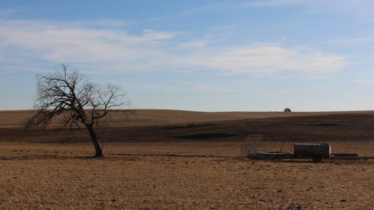 Agricultura - seca Entradas