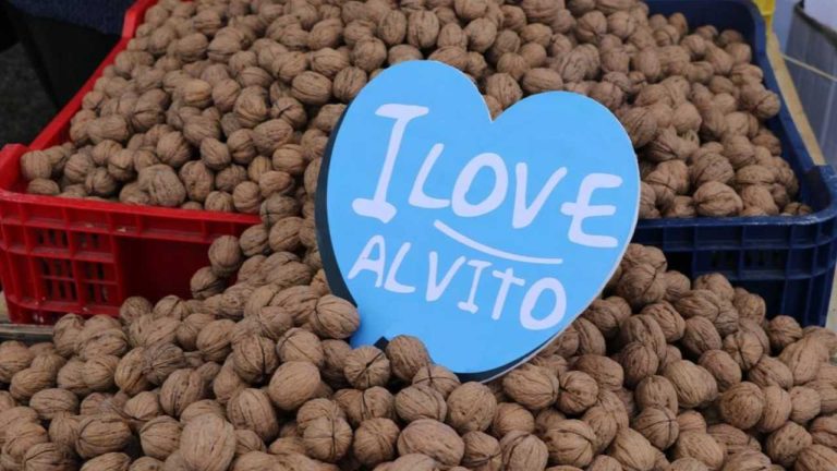 Alvito - Feira dos Santos
