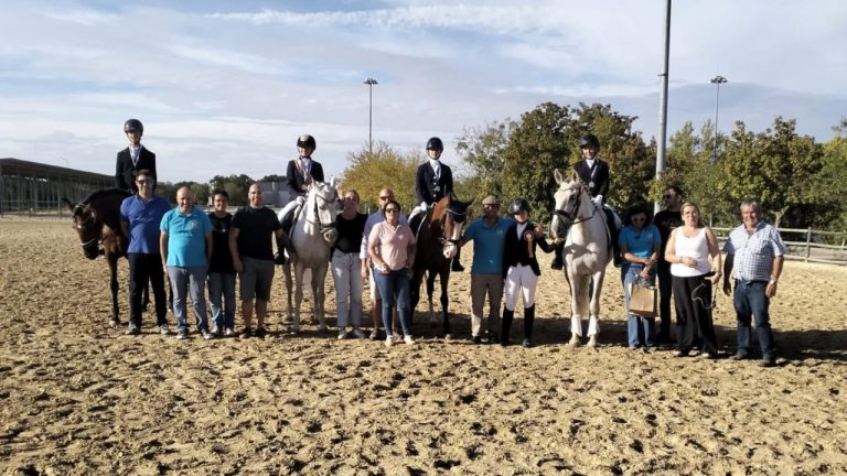 Associação Equestre Aljustrel - Regional Dressage 2025