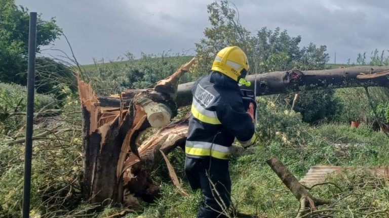 Beja - tornado em Porto Peles (mai 2025)