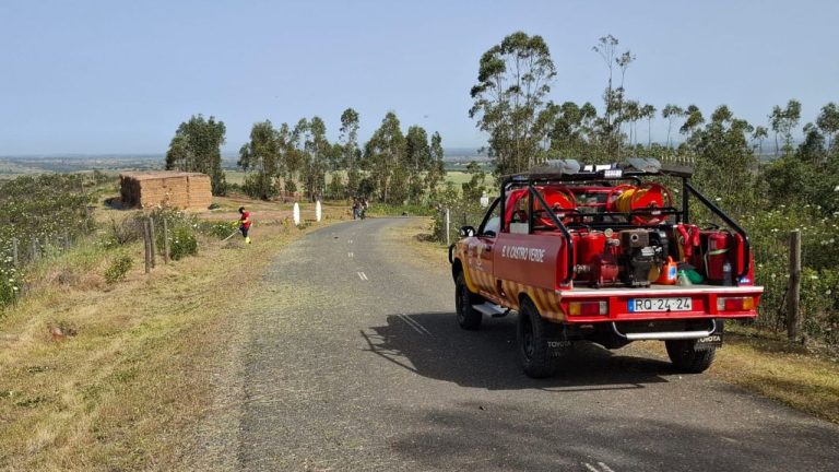 Bombeiros de Castro Verde - limpeza de bermas