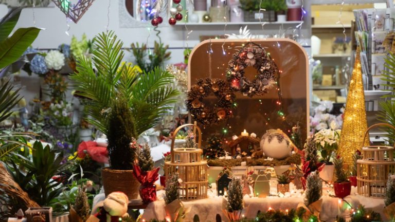 Câmara de Almodôvar - montras de Natal