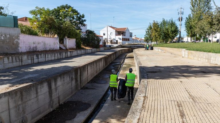 Câmara de Moura - limpeza Ribeira da Perna Seca