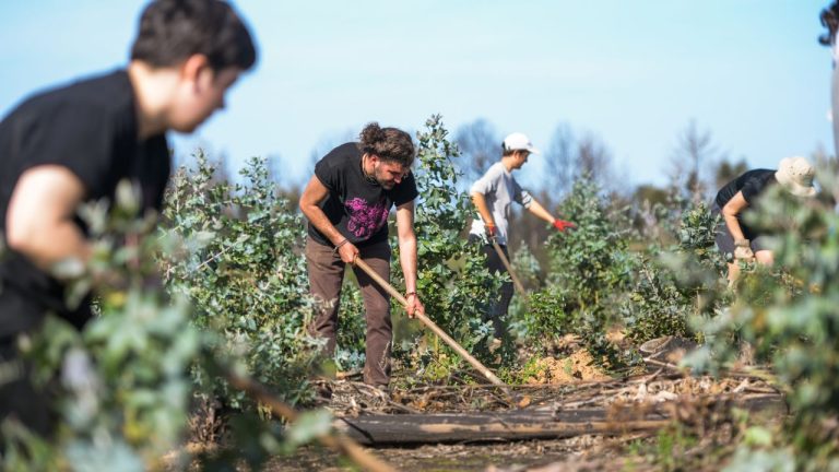 Câmara de Odemira - Projeto Regenerar Odemira