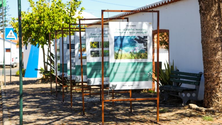 Câmara de Odemira - exposição Cápsula do Ambiente (2026)