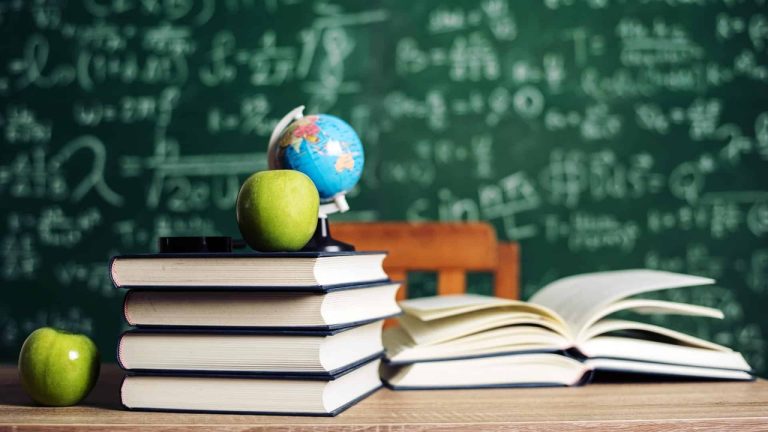 Educação - ensino básico