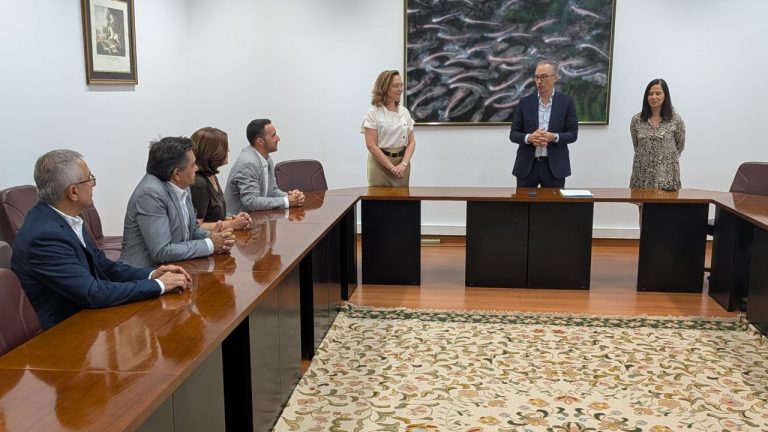 IPBeja - novos diretores escolas superiores (jul 2026)
