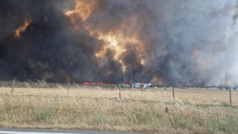 Incêndio - Carregueiro (junho 2025)