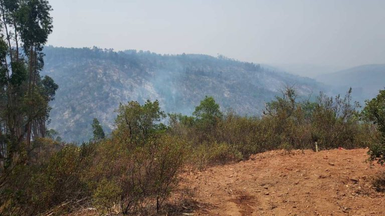 Incêndio Odemira 2023 (2)