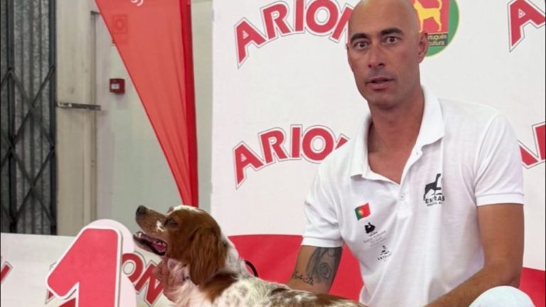 Mário Pinto & Tobias (julho 2025)