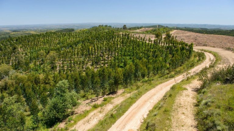Aldeia de S.M. das Amoreiras