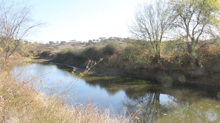 Ribeira de Cobres - Hde Camacha